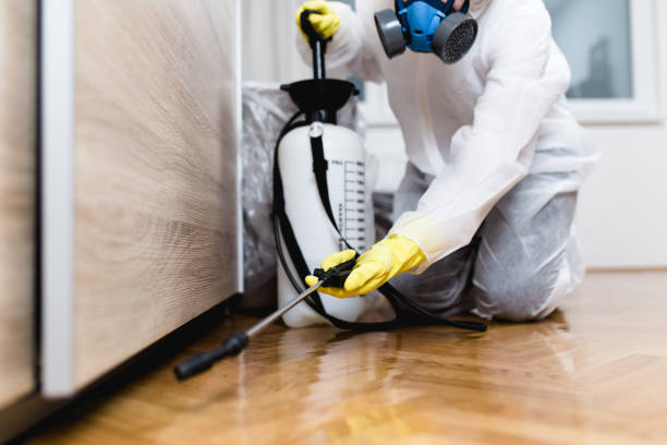 Best Ant Control Services  in Montpelier, ID
