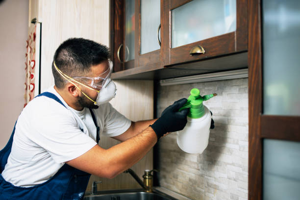 Best Mosquito Control Services  in Montpelier, ID