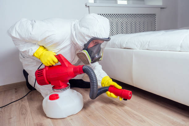 Best Affordable Pest Control Services  in Montpelier, ID