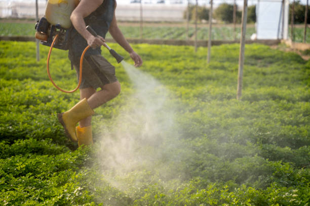 Best Exterminator Services  in Montpelier, ID